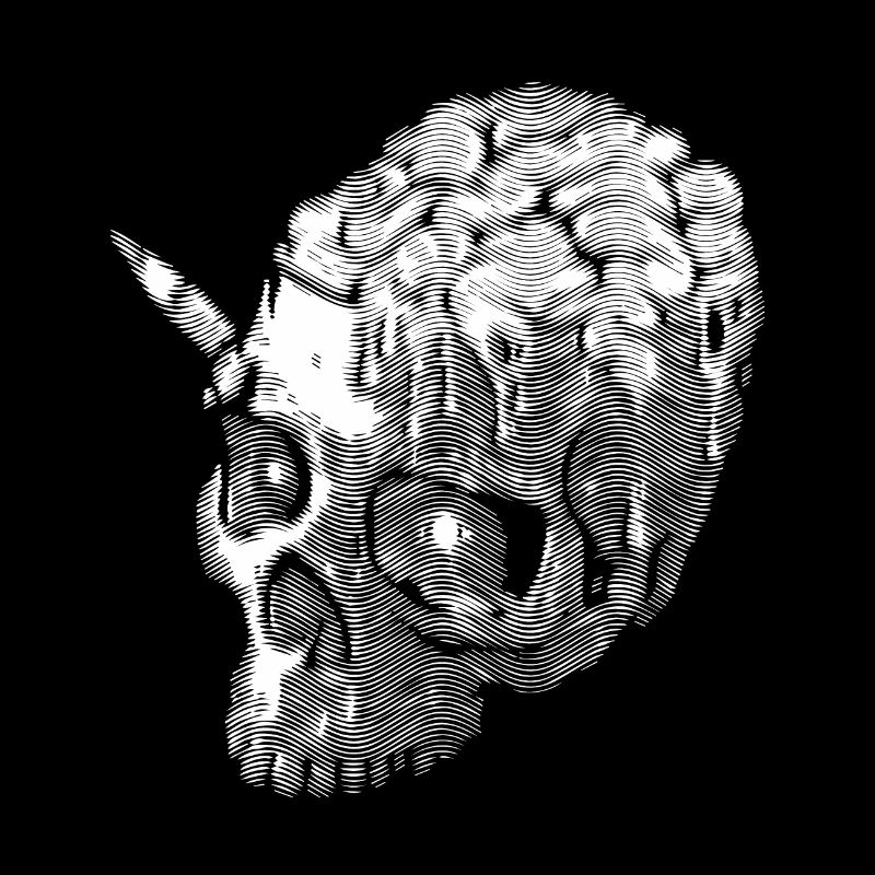 Skull