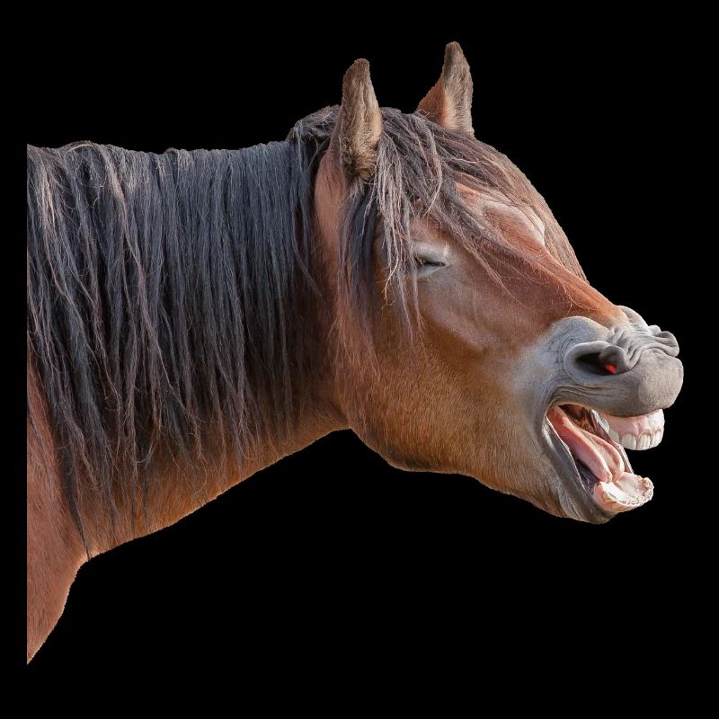 Rire