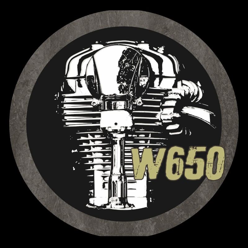 W650