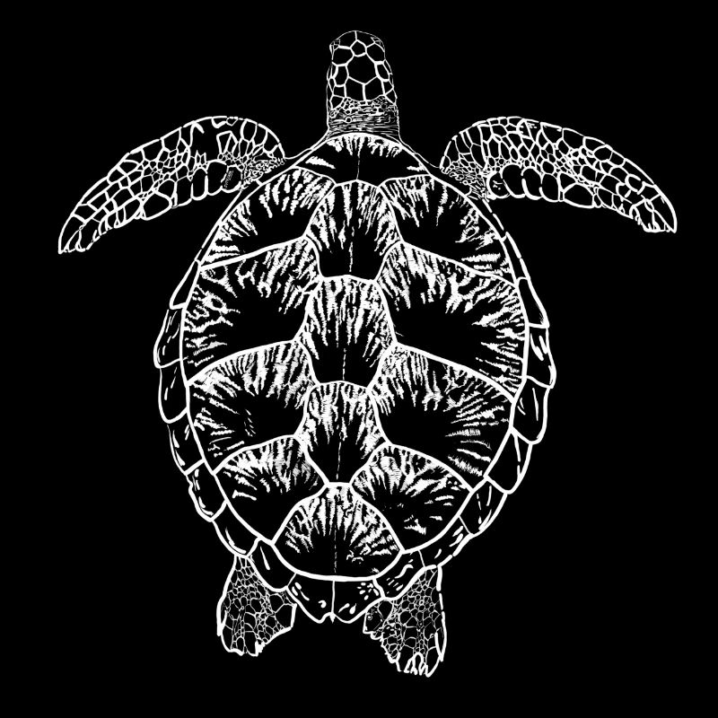 Tortue blanche2