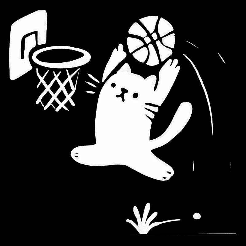 Basketball Cat