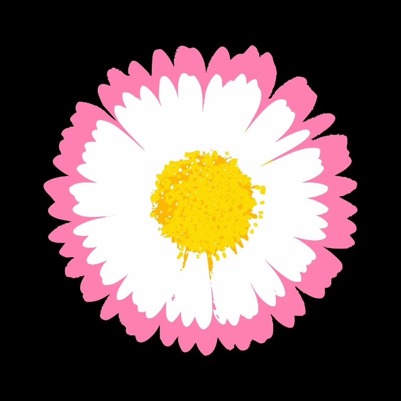 Rosa Gänseblümchen-Kante