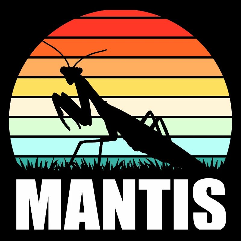 Mantis Gottesanbeter Gottesanbeterin