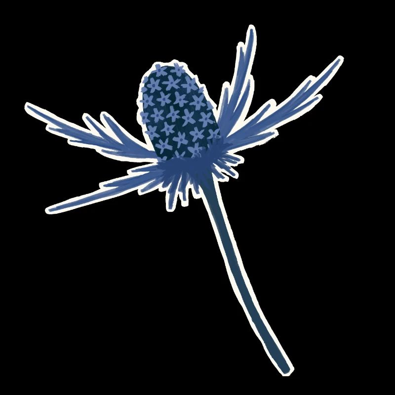 Fleur de houx bleu