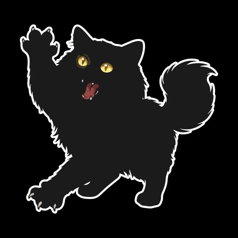 Black Kitten Fluffy Long Haired Fun Portrait