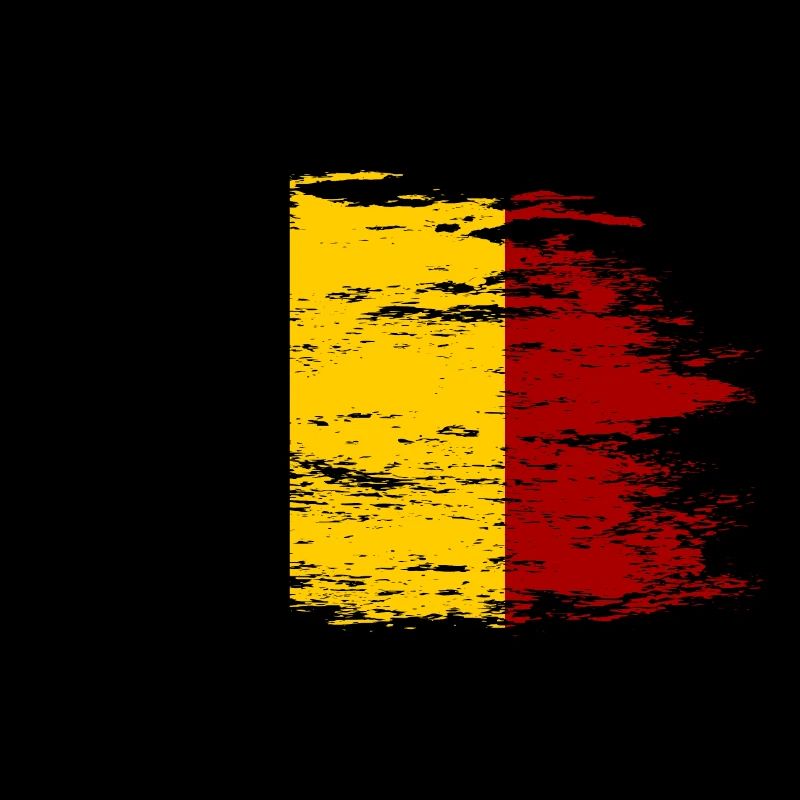 Belgique Drapeau utilisé