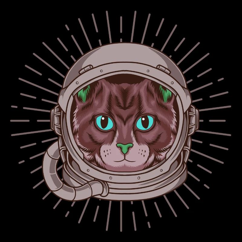 Katze Astronaut