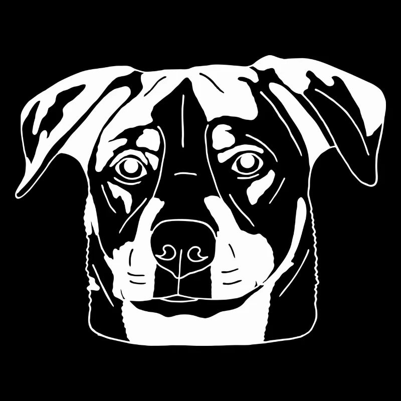 Schäferhund Mix