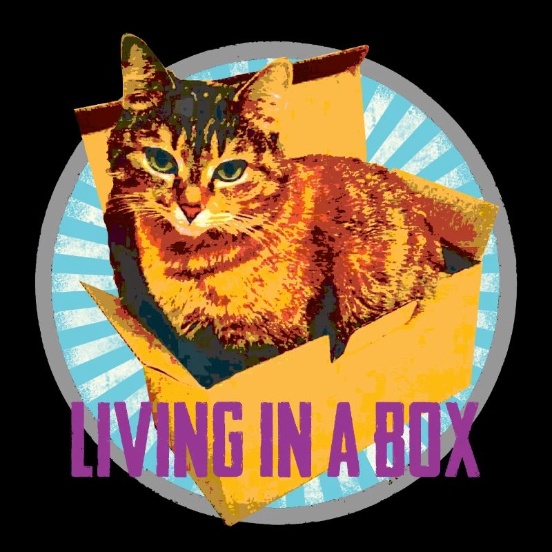 Cat lovers - In a box :-)