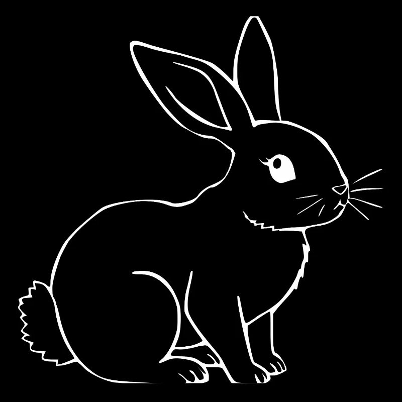 Rabbit Bunny Bunny Dwarf Rabbit Gift