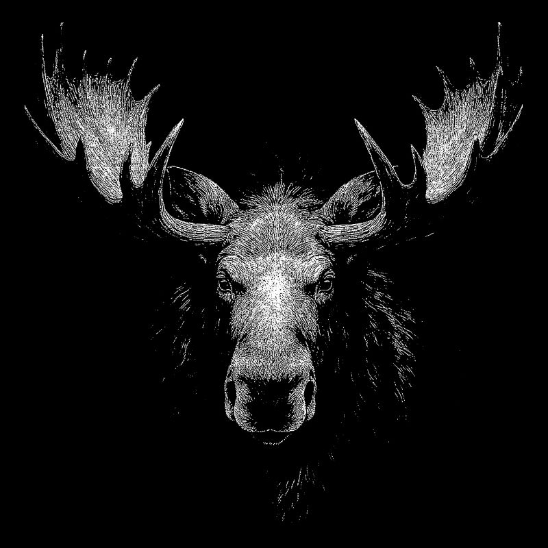 Elk