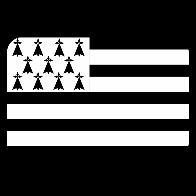 BRETAGNE FLAG round corner 400 dpi