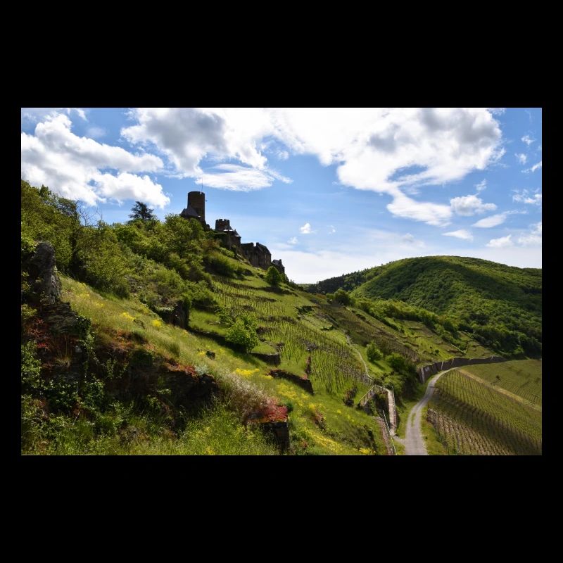 Moselle, château, vignoble, panorama