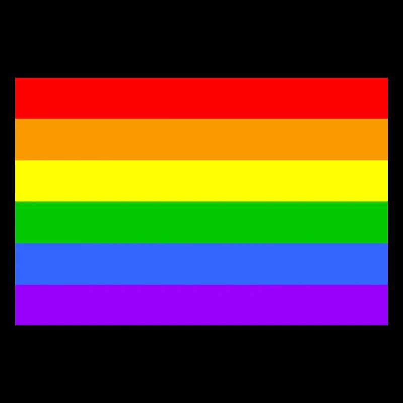 rainbowflag Schwule & Lesben
