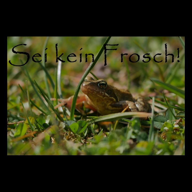 Ne sois pas une grenouille