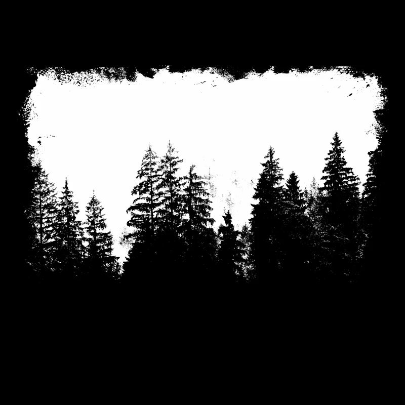 Trees in the spruce forest