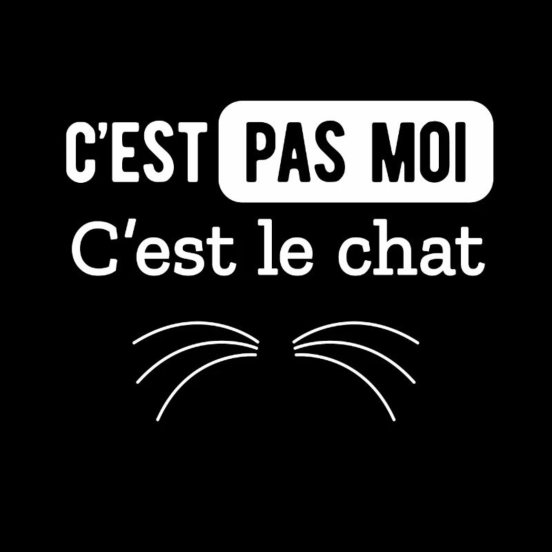 C EST PAS MOI C EST LE CHAT