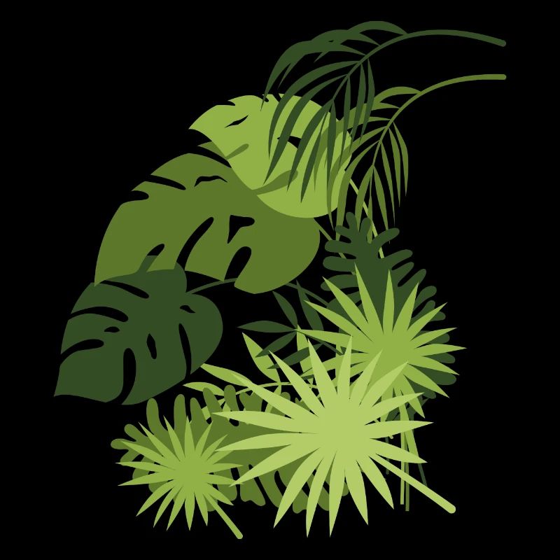 Monstera palmier cadeau jungle tropicale