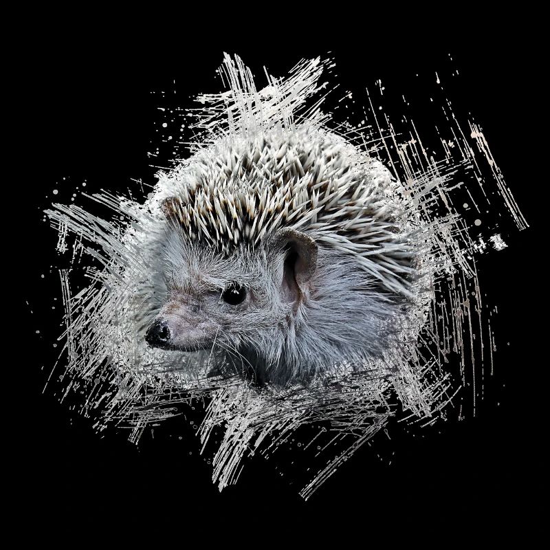 Igel