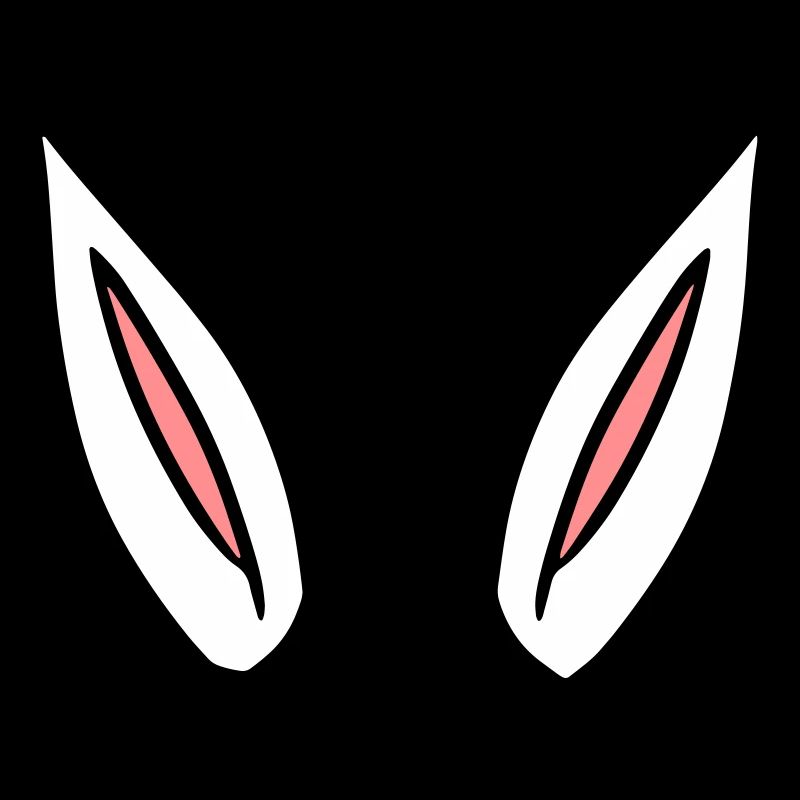 ears gift idea rabbit ears