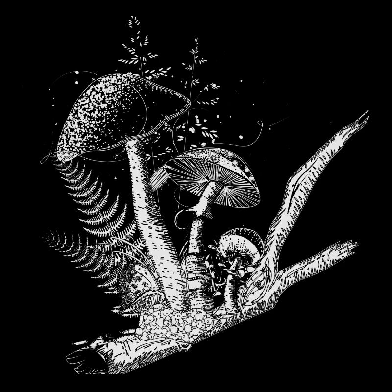 composition dessinée champignons forestiers, graminées et branches