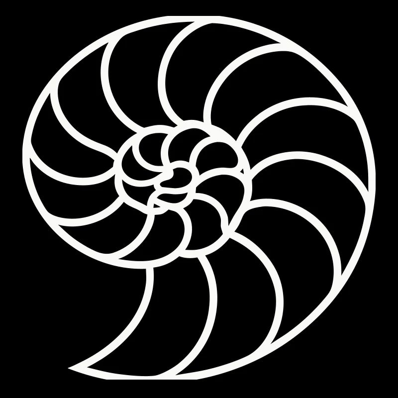 White Nautilus Spiral