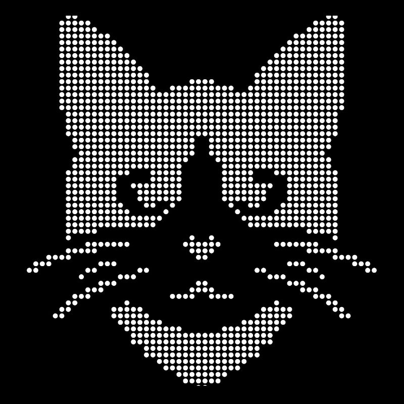 Visage de chat en demi-teinte