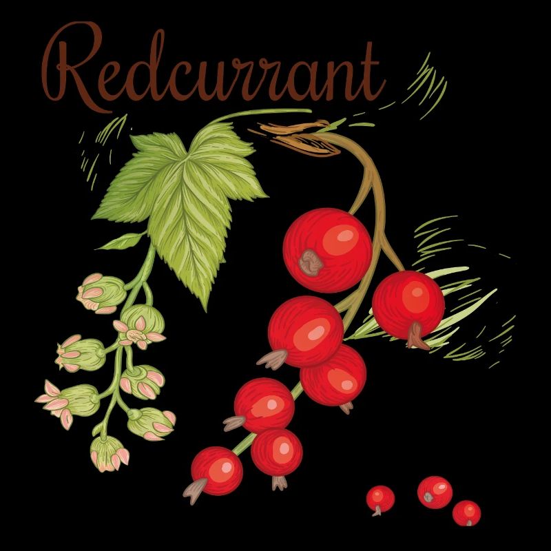 Red currant