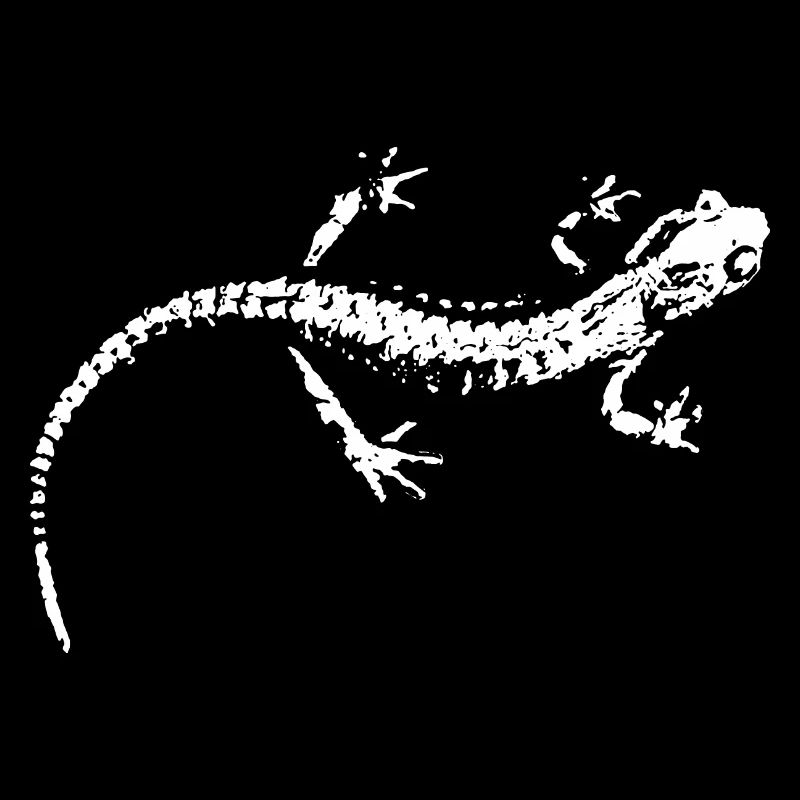 Salamandre