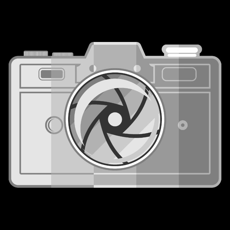 Classic Camera Collector