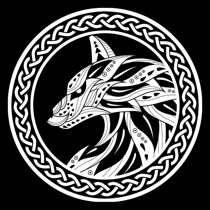 Vikings