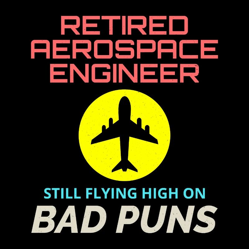 Retired Aerospace Engineer Flight Mechanics Plane