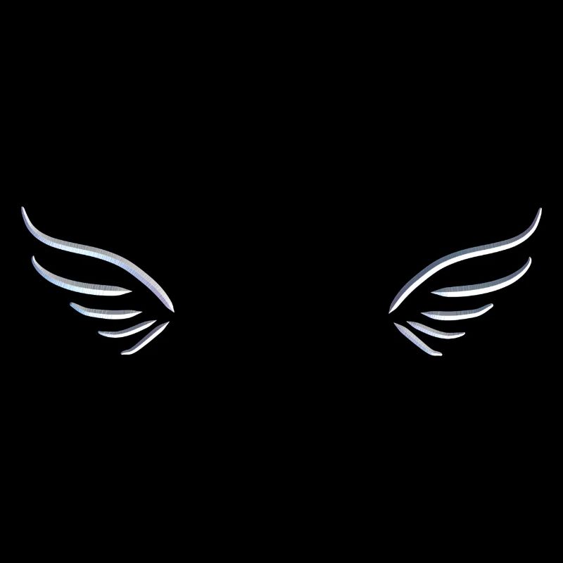 silver wing two fly symbol protect