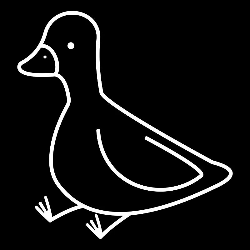 DUCK DUCKLING CHICK GOOSE BIRD ANIMAL FLIGHT FEATHER YOUNG