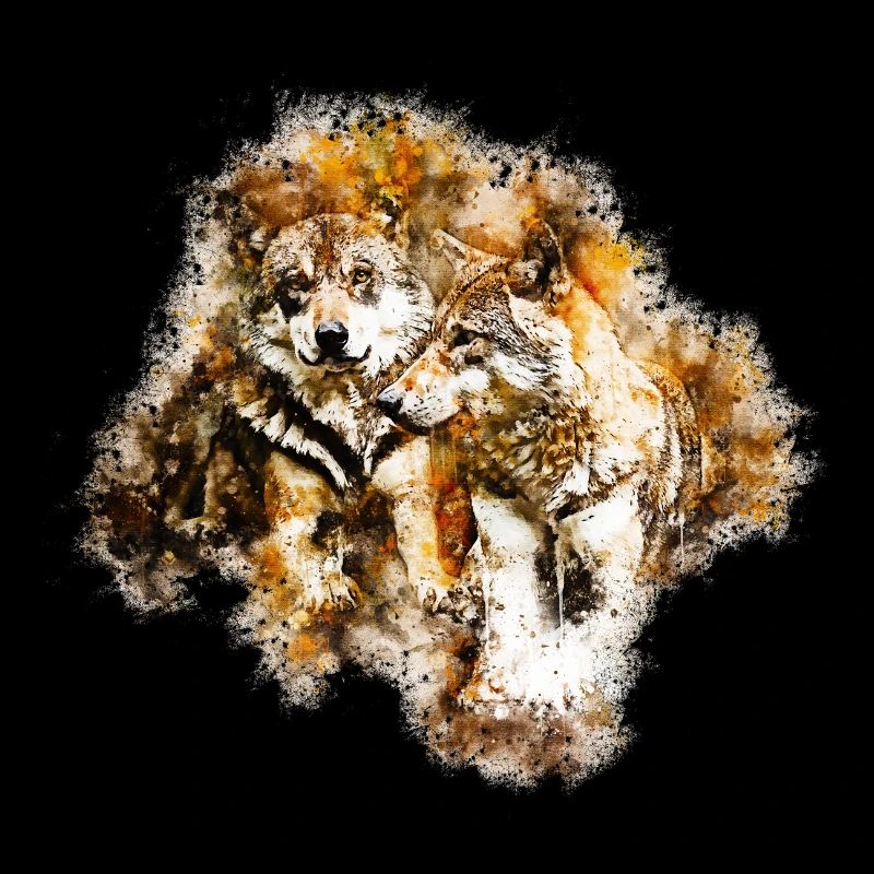 gxp wolf team watercolor splash