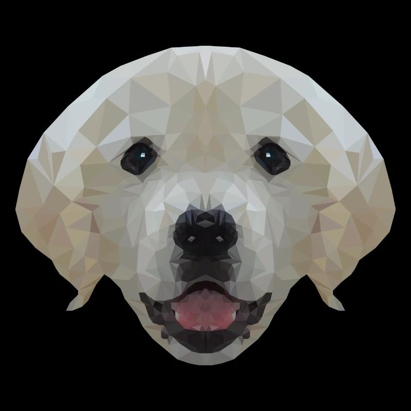 Chien Labrador Polygone