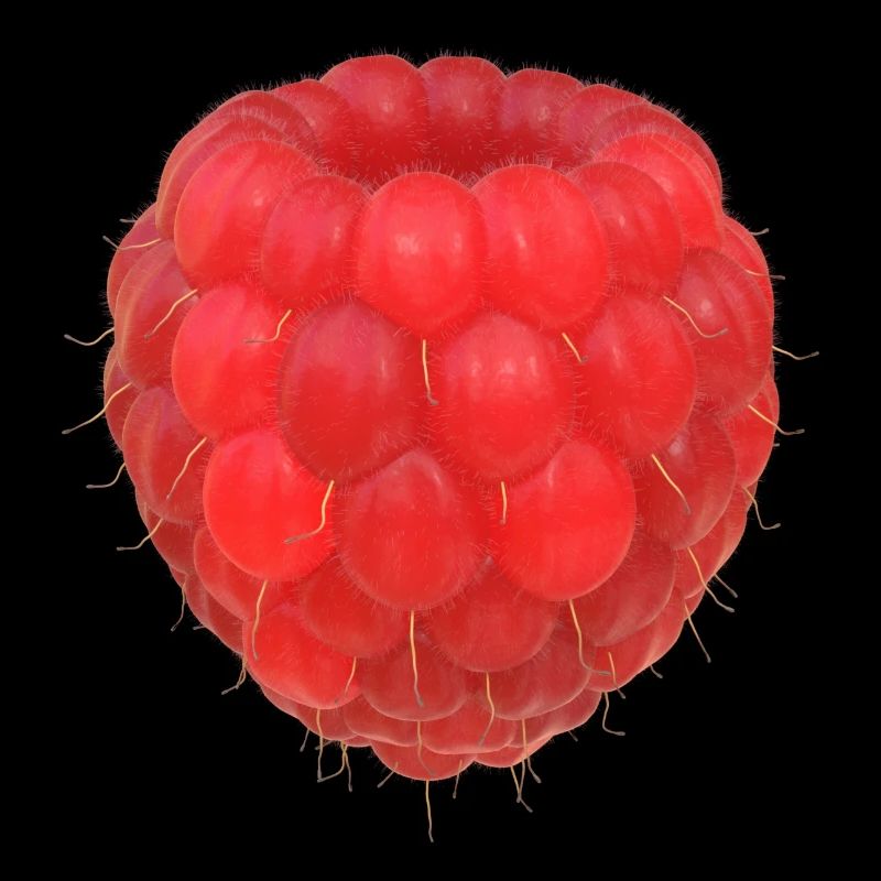 Modèle de grappe de framboises