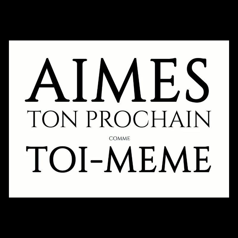 aimes 300