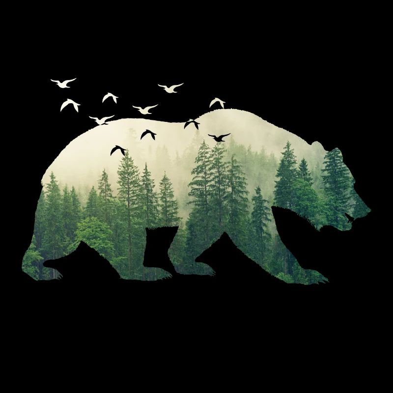 Ours conservation sauvage forêt oiseaux