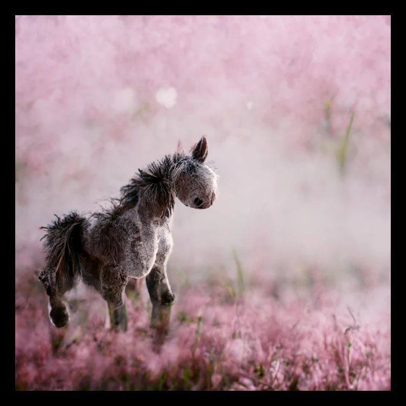 Bébé Cheval Rose Gris Saut
