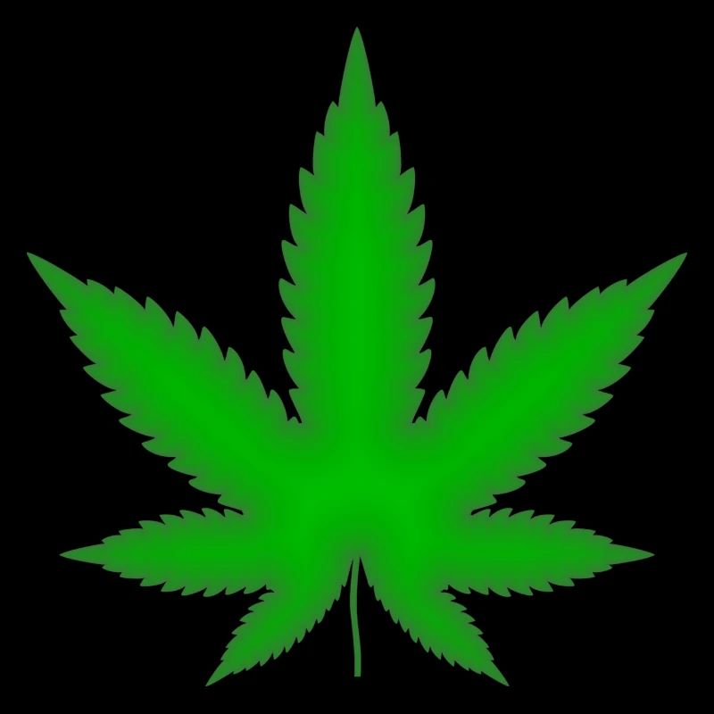 Marijuana leaf