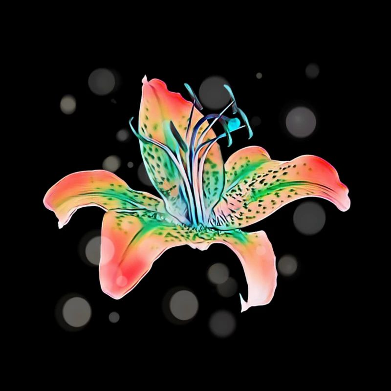 Orchidee