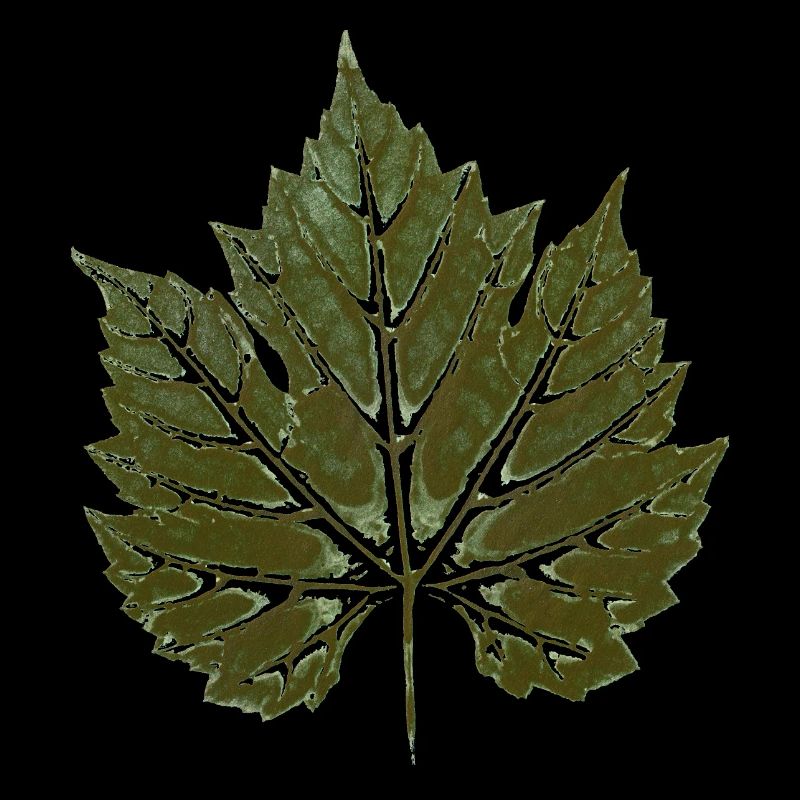 Grape leaf GREEN - leaf print - WINER & GARDEN