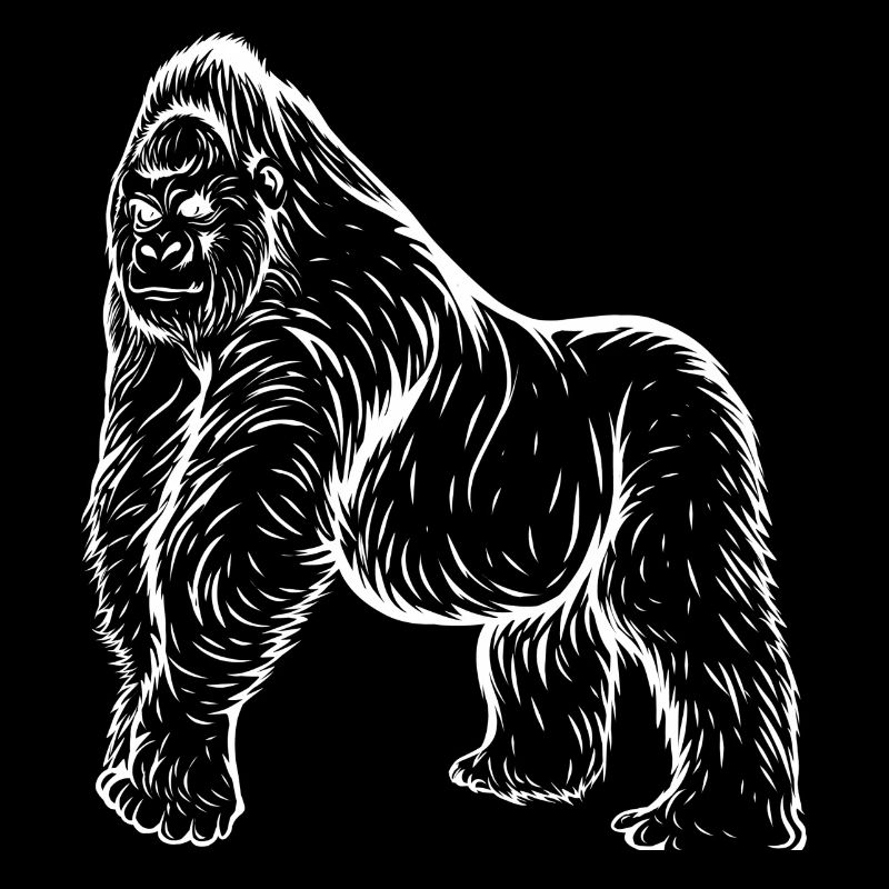 Gorilla