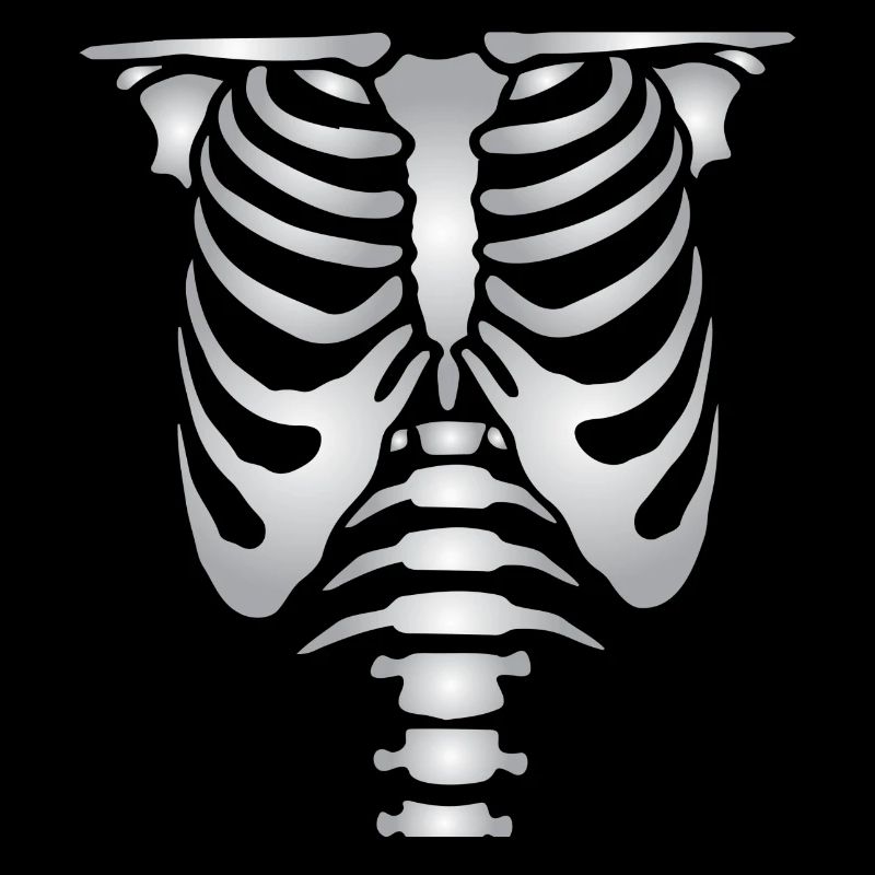 Human skeleton bones torso