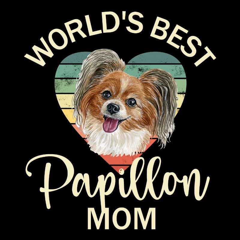 Dog Papillon Dwarf Spaniel