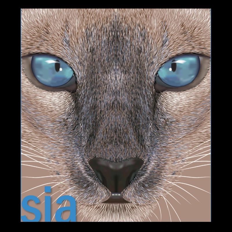 Siamkatze