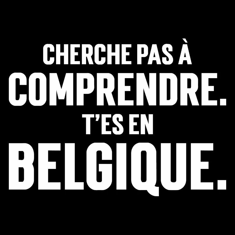 CHERCHE PAS A COMPRENDRE. T'ES EN BELGIQUE,