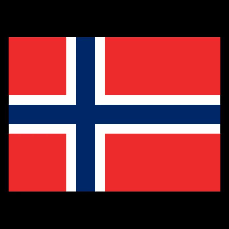 Norway Flag Flag
