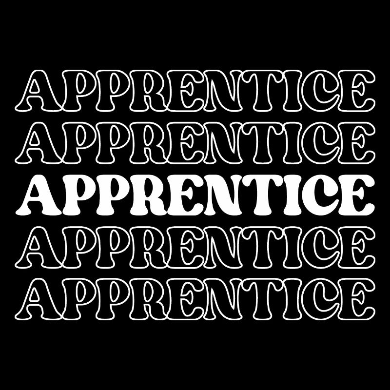 Apprentice Trainee Apprentice Novice Learner